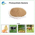 Feed Additive Photosynthetic Bacteria Supplier